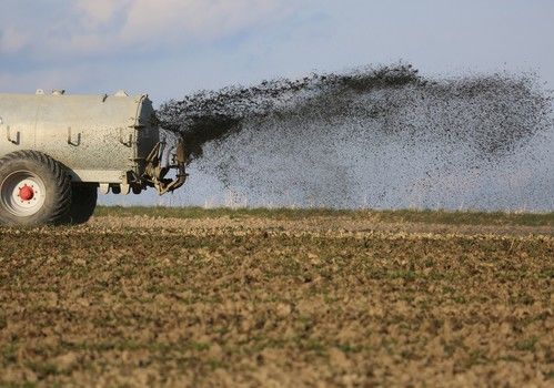 FEPEX insiste en que ante el alza de los costes se requieren medidas urgentes en el sector de frutas y hortalizas