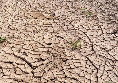 El Levante español se une contra el Plan Hidrológico del Tajo