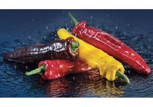 Rijk Zwaan presenta su paleta ‘veggie’  de color en Fruit Logistica 2022