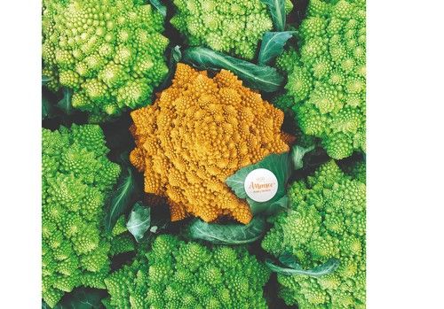 Amoresco®, la primera coliflor romanesco naranja, nominada al premio Fruit Logistica Innovation Award