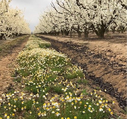 ‘Desafío de Biodiversidad Agrícola’, concurso  fotográfico para fomentar el conocimiento sobre biodiversidad en explotaciones agrícolas