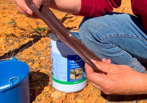 Pegafit® obtiene la certificación para su uso en agricultura ecológica