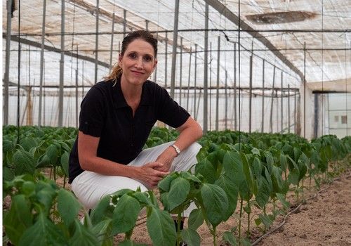 El Partido Popular remarca el respaldo del Gobierno andaluz a la contratación de seguros agrarios