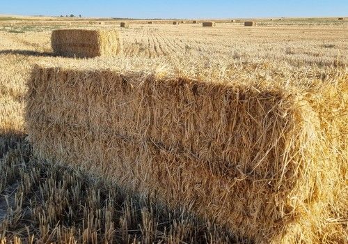 La Comisión Europea abre el procedimiento para anticipar las ayudas de la PAC 2022