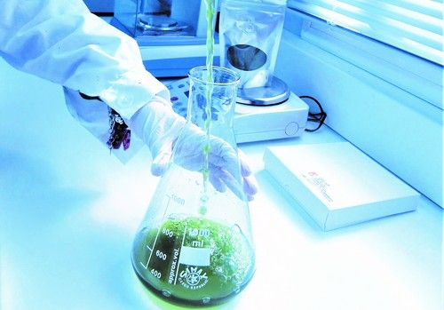 La Junta Directiva de AlgaEnergy aprueba la incorporación de la empresa biotecnológica a CEOE