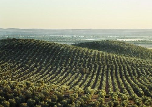 El Ministerio de Agricultura destina 2 millones de euros a programas de formación para el medio rural