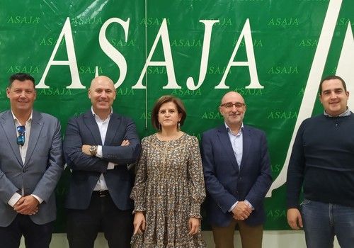 ASAJA valora el crecimiento del 3% en la superficie de hortalizas asegurada esta campaña