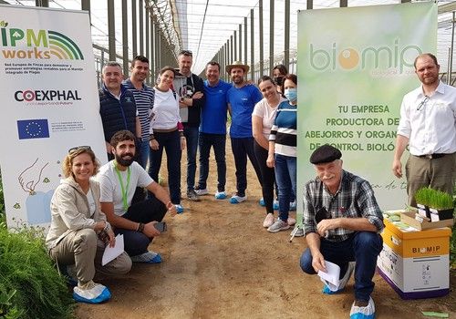 Una jornada de IPMWorks sobre control biológico de pulgón en melón demuestra su efectividad