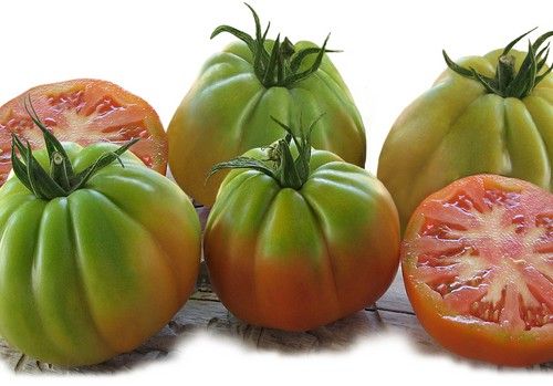 Virus rugoso del tomate (ToBRFV), ¡Meta alcanzada!