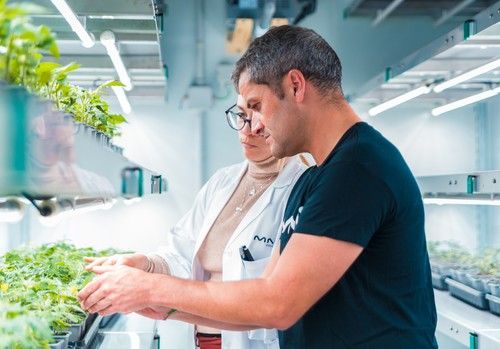 MAAVi Innovation Center de Kimitec anuncia un acuerdo con Bayer para potenciar la investigación y desarrollo biológico