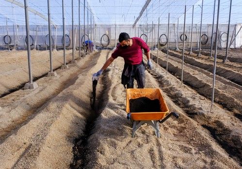 Novihum garantiza la actividad eficiente de los suelos agrícolas