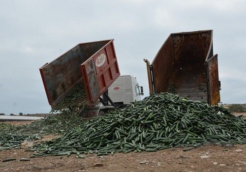 El Gobierno aprueba una ley contra el desperdicio alimentario