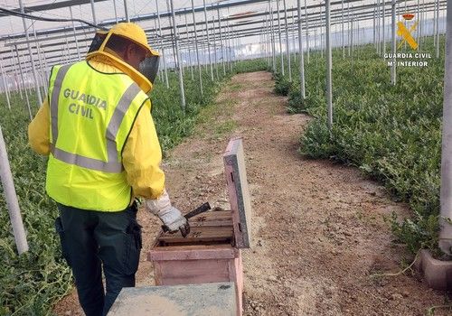 La Guardia Civil detiene a dos personas por la sustracción de 22 colmenas