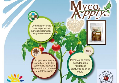 MYCOAPPLY® DR, para aumentar  la biodiversidad y la salud del suelo