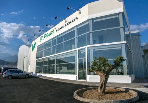 El Plantel Semilleros garantiza la mejor sanidad vegetal del campo almeriense