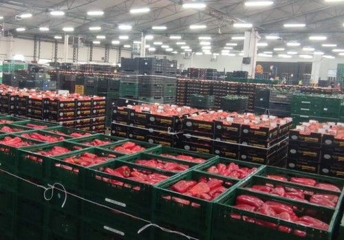 Semana de cotizaciones al alza en las pizarras almerienses