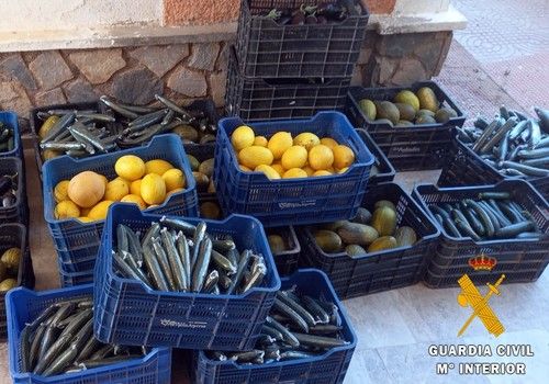 La Guardia Civil investiga a dos personas que transportaban más de 350 kg de hortalizas robadas