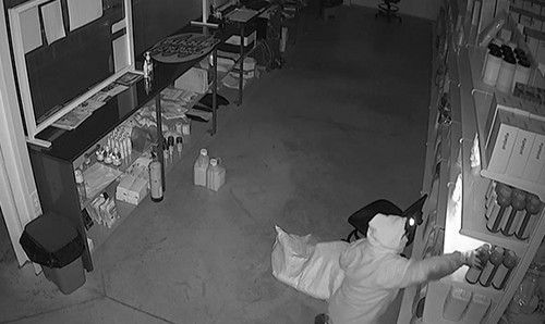 Dos detenidos en Roquetas y El Ejido acusados de más de 20 robos en explotaciones agrícolas