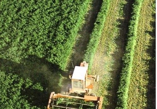 El Ministerio de Agricultura, Pesca y Alimentación acerca el conocimiento de los sectores agrario, pesquero y de la industria agroalimentaria