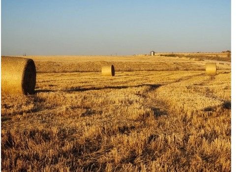 El Ministerio de Agricultura, Pesca y Alimentación asigna 13,8 millones de euros de la reserva nacional de pago básico para la instalación de nuevos agricultores y ganaderos