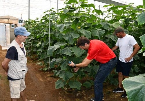 Ramiro Arnedo muestra el esplendor del pepino Bastian en una jornada de puertas abiertas