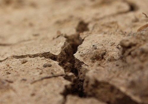 El grupo de trabajo evalúa la situación de la sequía y las medidas adoptadas en marzo por el Gobierno