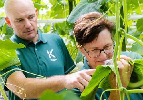 Gestión Integrada de Cultivos: la clave para la sostenibilidad comercial