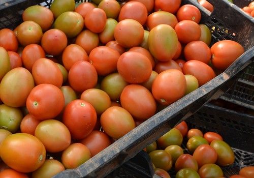ASAJA-Almería reclama “echar el freno” a la propuesta de limitar el precio de los productos básicos