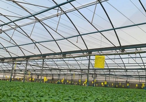 Ginegar, cubiertas innovadoras y eficaces para ofrecer las mejores soluciones al sector