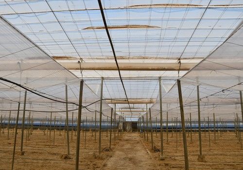 DC Cristal y DC Solterm, las propuestas de Solplast para una doble cámara sin sorpresas