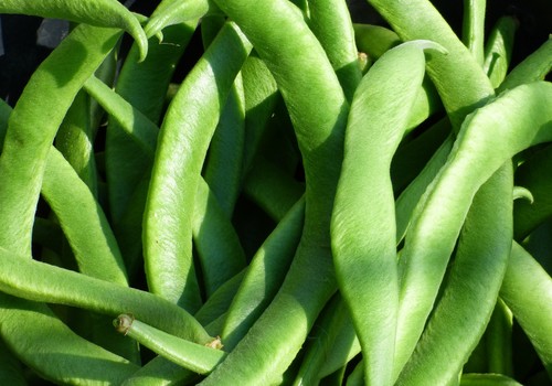 La importación hortofrutícola hasta julio sube un 1% en volumen y un 7,6% en valor