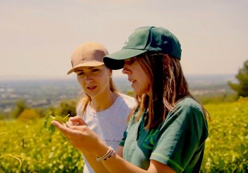  Cultivos al aire libre: el valor añadido de los ayudantes de la Naturaleza