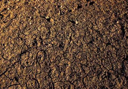 La Junta insta al Gobierno central a pedir ayudas  agrícolas europeas excepcionales por la sequía