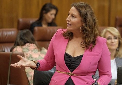 La Junta afirma que el Estado incumple la ley al no implantar la doble tarifa eléctrica para regantes