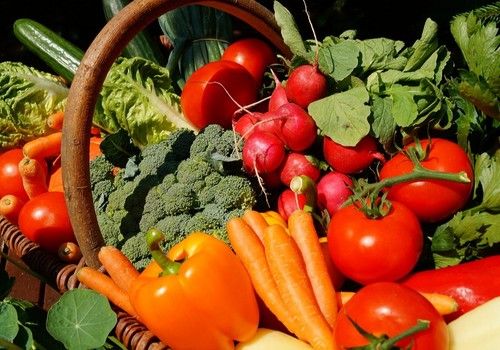 Las exportaciones agroalimentarias andaluzas alcanzan récord histórico con 9.833 millones en ocho meses y crecen un 17,4%