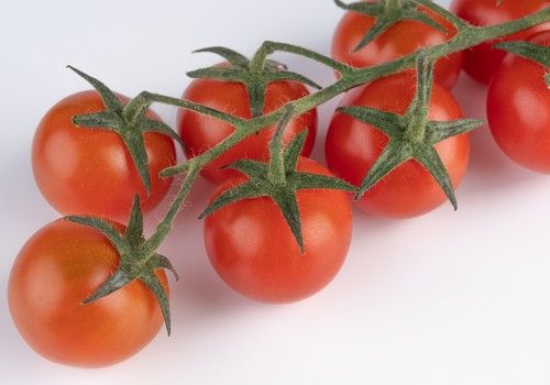 Tozer Ibérica continúa ampliando su catálogo de hortícolas