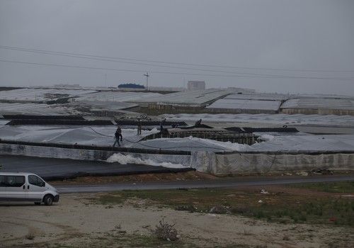 El Gobierno aprueba el Plan de Seguros Agrarios Combinados para 2023