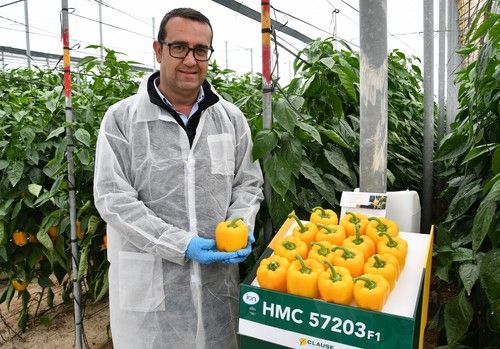 HM.CLAUSE amplía su potente gama IÓN con tres novedades esta campaña