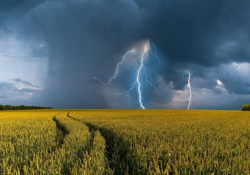 La Junta aumenta un 61% las ayudas al seguro agrario, que alcanzarán los 12,4M€ en 2023