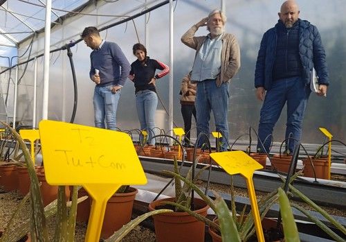 La Comisión de Técnicos de COEXPHAL analiza los temas de actualidad del sector ornamental
