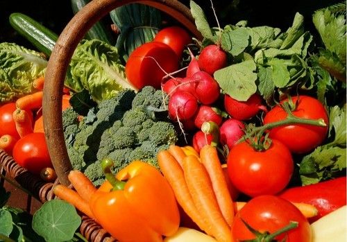 “La Ley de Fomento de la Producción Ecológica tiene que consolidar el crecimiento del sector en Andalucía”