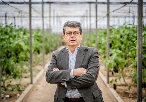 El PP exige al Gobierno que retire la campaña de la Asociación Justicia Alimentaria y recupere la subvención concedida