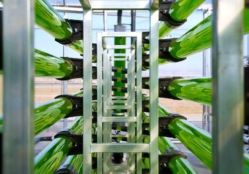 Planas destaca que los bioestimulantes son un insumo clave para una agricultura más sostenible, productiva y rentable