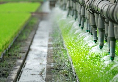 Agricultura convoca 18 M€ en ayudas a Grupos Operativos de Innovación agroalimentaria