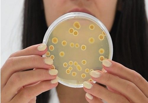 Asfertglobal alcanza un nuevo récord de  ventas en 2022