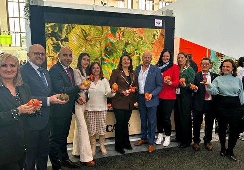 Andalucía es líder en producción hortofrutícola sostenible y exporta tecnificación agraria