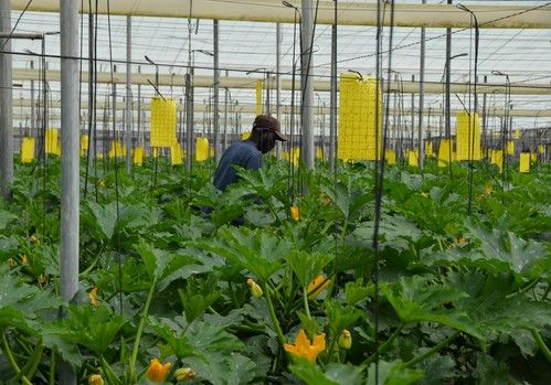 La Junta solicita una reducción general del 50%  del IRPF al campo por sequía y subida de costes