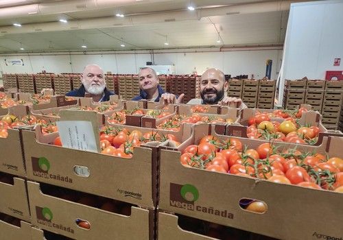 Vegacañada crece en volumen y ventas a pesar de la disminución general de la producción del sector