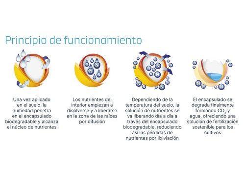 ICL lanza la exclusiva tecnología de encapsulado totalmente biodegradable eqo.x para fertilizantes de liberación controlada