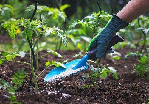 Fertiberia TECH lanza una nueva línea de productos biotecnológicos